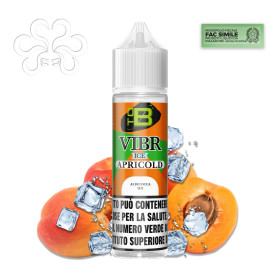 VIBR ICE ADM - APRICOLD - Shot 10+50 - TOB