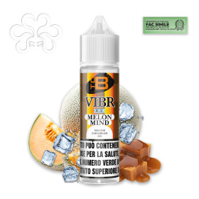 VIBR ICE ADM - MELON MIND - Shot 10+50 - TOB