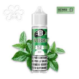 VIBR ADM - ICE GR - Shot 10+50 - TOB